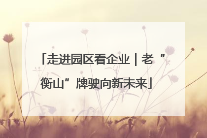走进园区看企业｜老“衡山”牌驶向新未来