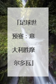 足球世预赛：意大利胜摩尔多瓦