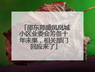 邵东邦盛凤凰城小区业委会筹备十年未果，相关部门回应来了