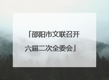 邵阳市文联召开六届二次全委会