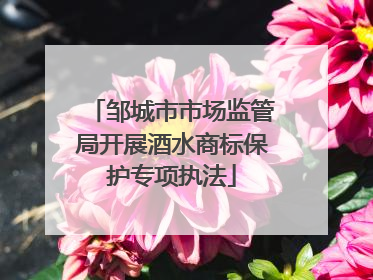 邹城市市场监管局开展酒水商标保护专项执法