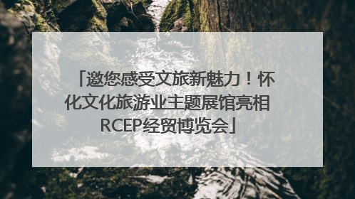 邀您感受文旅新魅力！怀化文化旅游业主题展馆亮相RCEP经贸博览会