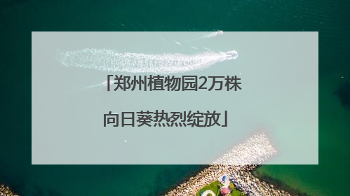 郑州植物园2万株向日葵热烈绽放