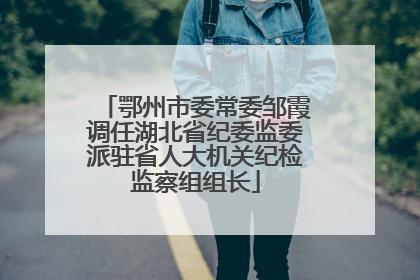 鄂州市委常委邹霞调任湖北省纪委监委派驻省人大机关纪检监察组组长
