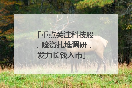 重点关注科技股，险资扎堆调研，发力长钱入市