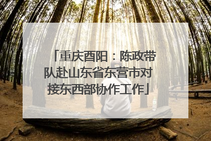 重庆酉阳：陈政带队赴山东省东营市对接东西部协作工作
