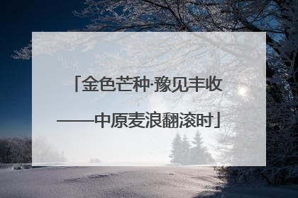 金色芒种·豫见丰收——中原麦浪翻滚时