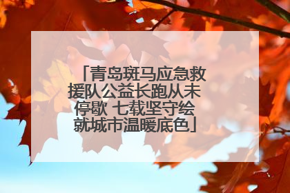 青岛斑马应急救援队公益长跑从未停歇 七载坚守绘就城市温暖底色