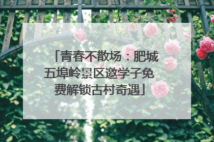 青春不散场：肥城五埠岭景区邀学子免费解锁古村奇遇