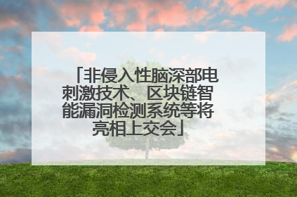 非侵入性脑深部电刺激技术、区块链智能漏洞检测系统等将亮相上交会