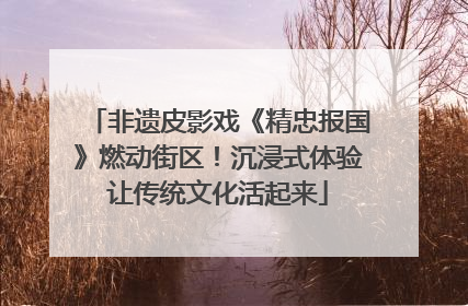 非遗皮影戏《精忠报国》燃动街区！沉浸式体验让传统文化活起来