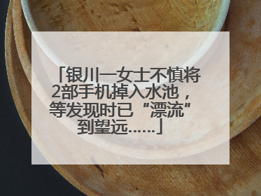 银川一女士不慎将2部手机掉入水池，等发现时已“漂流”到望远……