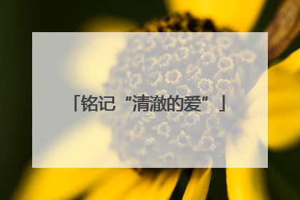 铭记“清澈的爱”