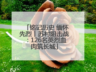 铭记历史 缅怀先烈丨苏村阻击战：126名英烈血肉筑长城