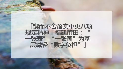 锲而不舍落实中央八项规定精神丨福建莆田：“一张表”“一张图”为基层减轻“数字负担”