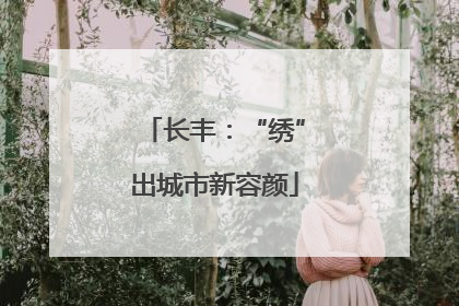 长丰：“绣”出城市新容颜