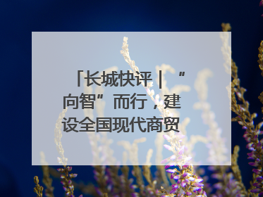 长城快评｜“向智”而行，建设全国现代商贸物流重要基地