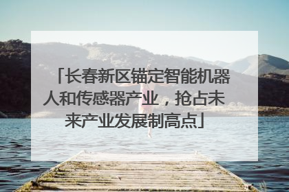 长春新区锚定智能机器人和传感器产业，抢占未来产业发展制高点