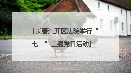 长春汽开区法院举行“七一”主题党日活动