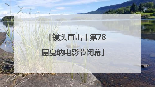 镜头直击丨第78届戛纳电影节闭幕