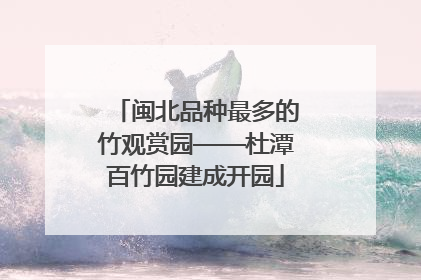 闽北品种最多的竹观赏园——杜潭百竹园建成开园