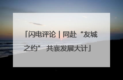 闪电评论｜同赴“友城之约” 共襄发展大计