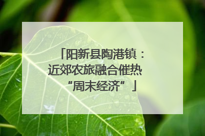 阳新县陶港镇：近郊农旅融合催热“周末经济”