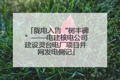 陇电入鲁“树丰碑”——电建核电公司建设灵台电厂项目并网发电侧记