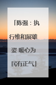 陈强：执行维和展雄姿 暖心为民有正气