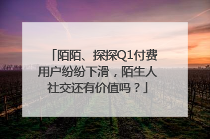 陌陌、探探Q1付费用户纷纷下滑，陌生人社交还有价值吗？