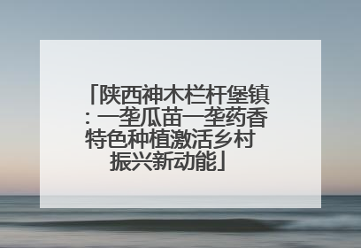 陕西神木栏杆堡镇：一垄瓜苗一垄药香 特色种植激活乡村振兴新动能
