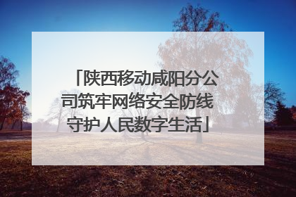 陕西移动咸阳分公司筑牢网络安全防线守护人民数字生活