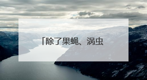 除了果蝇、涡虫 中国空间站还有哪些“动物航天员”