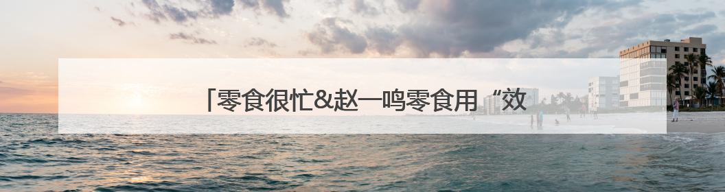 零食很忙&赵一鸣零食用“效率壁垒”重写零售行业规则