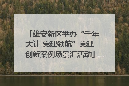 雄安新区举办“千年大计 党建领航”党建创新案例场景汇活动