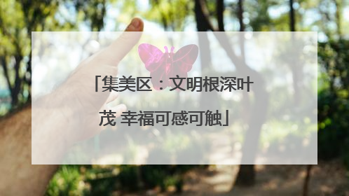 集美区：文明根深叶茂 幸福可感可触