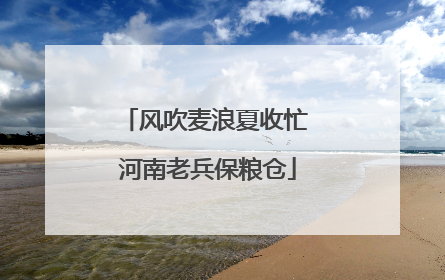 风吹麦浪夏收忙 河南老兵保粮仓