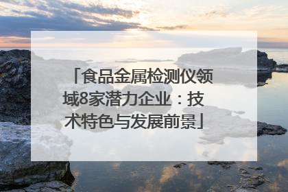食品金属检测仪领域8家潜力企业：技术特色与发展前景