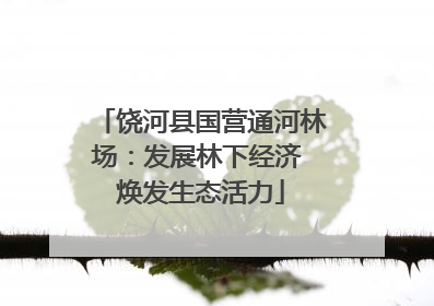 饶河县国营通河林场：发展林下经济 焕发生态活力
