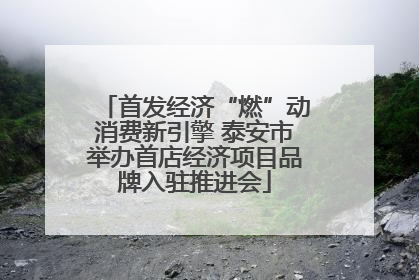 首发经济“燃”动消费新引擎 泰安市举办首店经济项目品牌入驻推进会