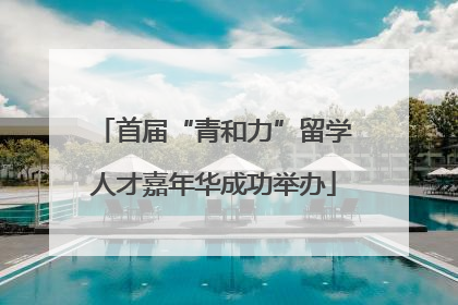 首届“青和力”留学人才嘉年华成功举办