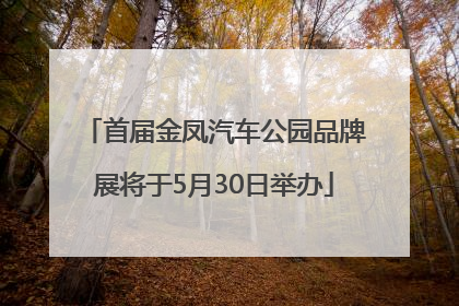 首届金凤汽车公园品牌展将于5月30日举办