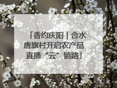香约庆阳｜合水唐旗村开启农产品直播“云”销路