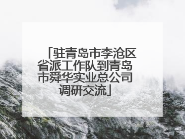 驻青岛市李沧区省派工作队到青岛市舜华实业总公司调研交流