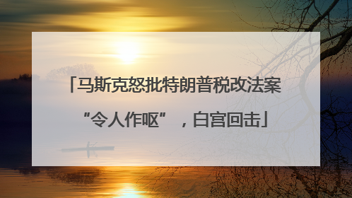 马斯克怒批特朗普税改法案“令人作呕”，白宫回击