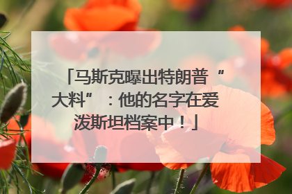 马斯克曝出特朗普“大料”：他的名字在爱泼斯坦档案中！