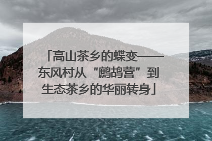 高山茶乡的蝶变——东风村从“鹧鸪营”到生态茶乡的华丽转身