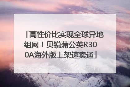 高性价比实现全球异地组网！贝锐蒲公英R300A海外版上架速卖通