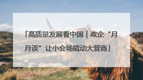 高质量发展看中国｜政企“月月谈”让小会场撬动大营商