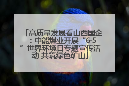 高质量发展看山西国企：中能煤业开展“6·5”世界环境日专题宣传活动 共筑绿色矿山